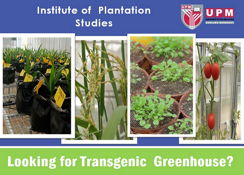 Transgenic Greenhouse (TGH) 
