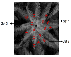 Effect of datasets size on the machine learning performance of the bagworm, Metisa plana (Walker) infestation using UAV remote sensing